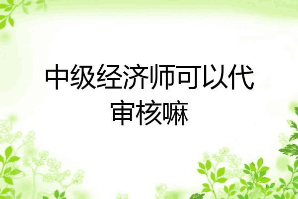 中级经济师可以代审核嘛