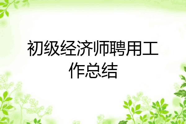 初级经济师聘用工作总结