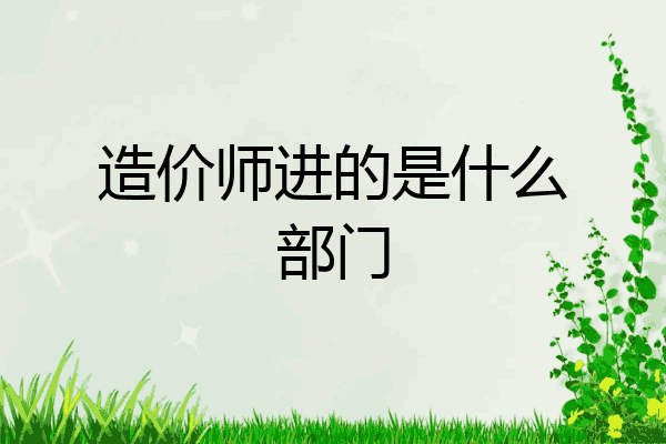 造价师进的是什么部门