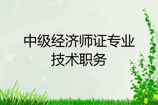 中级经济师证专业技术职务