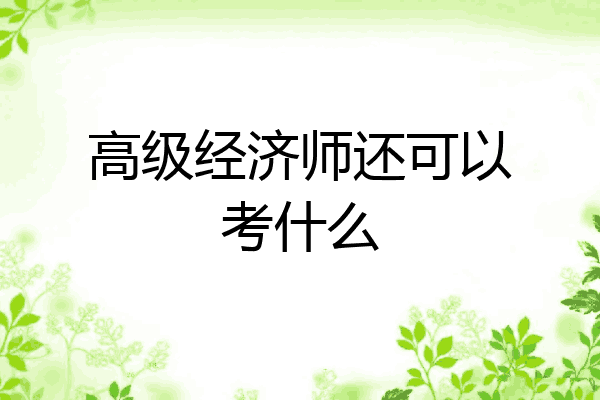 高级经济师还可以考什么