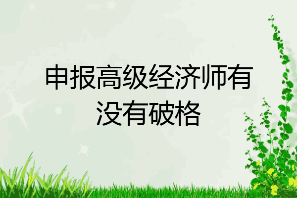 申报高级经济师有没有破格