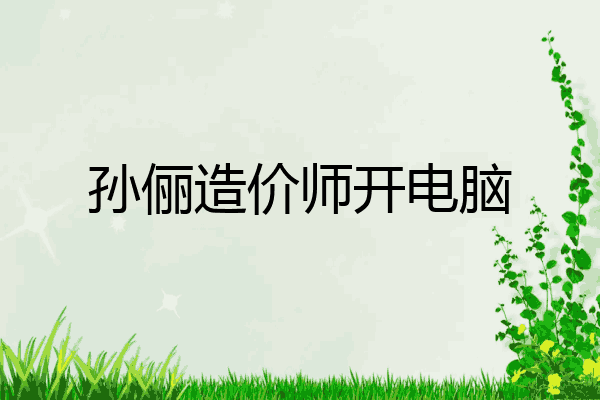 孙俪造价师开电脑