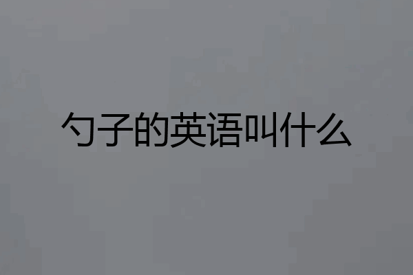 勺子的英语叫什么