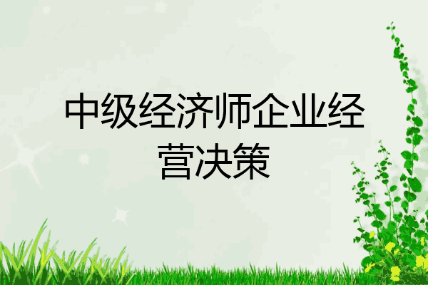 中级经济师企业经营决策