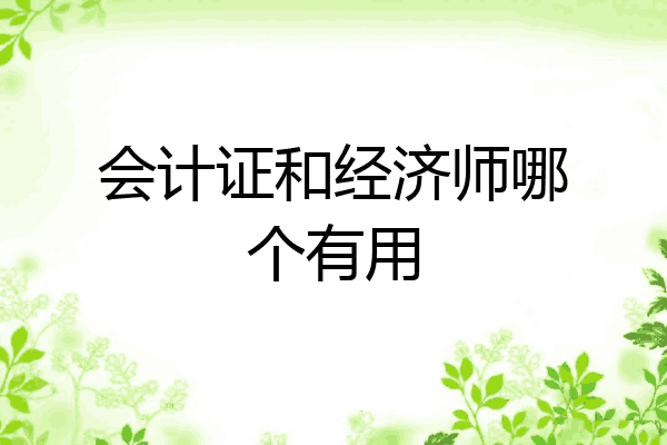 会计证和经济师哪个有用