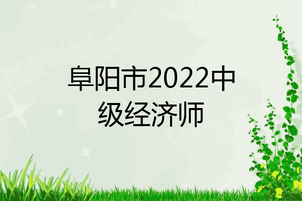 阜阳市2022中级经济师