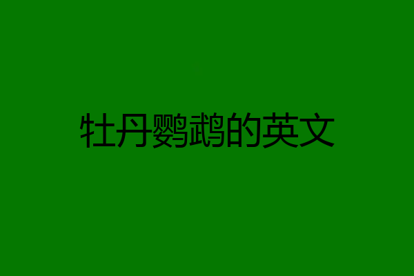 牡丹鹦鹉的英文