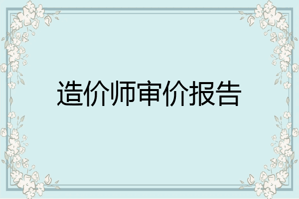 造价师审价报告