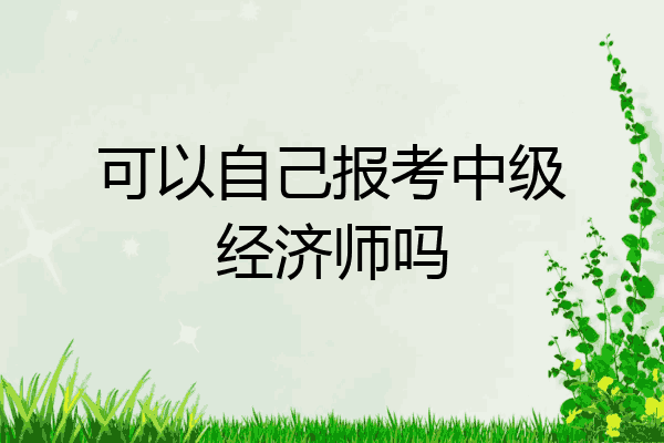 可以自己报考中级经济师吗