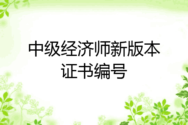 中级经济师新版本证书编号