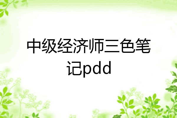中级经济师三色笔记pdd