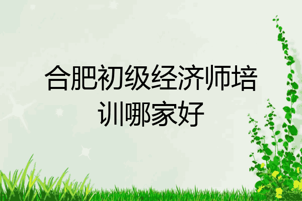 合肥初级经济师培训哪家好