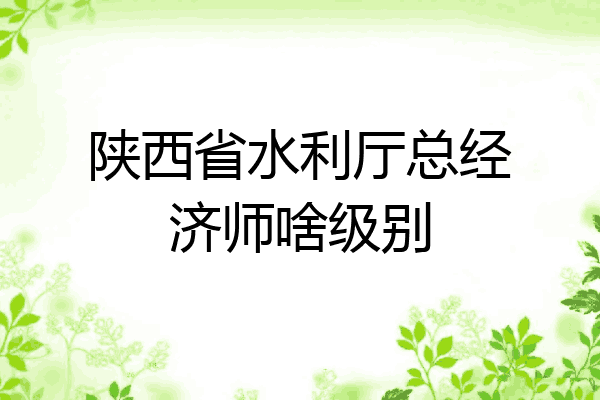 陕西省水利厅总经济师啥级别
