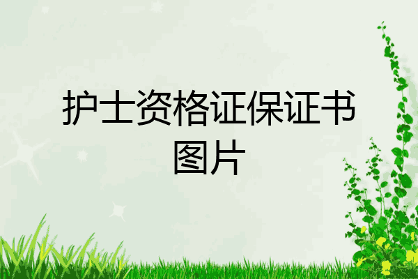 护士资格证保证书图片