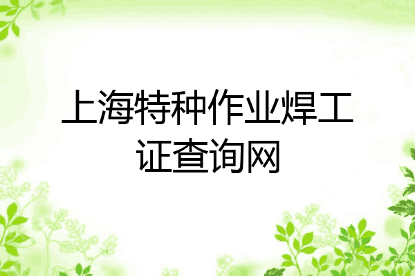 上海特种作业焊工证查询网