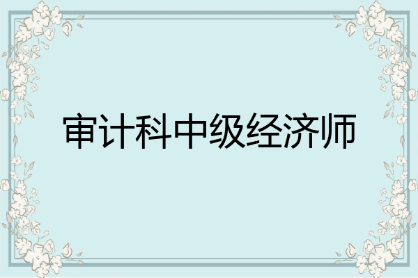 审计科中级经济师