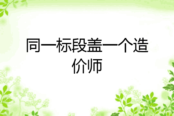 同一标段盖一个造价师