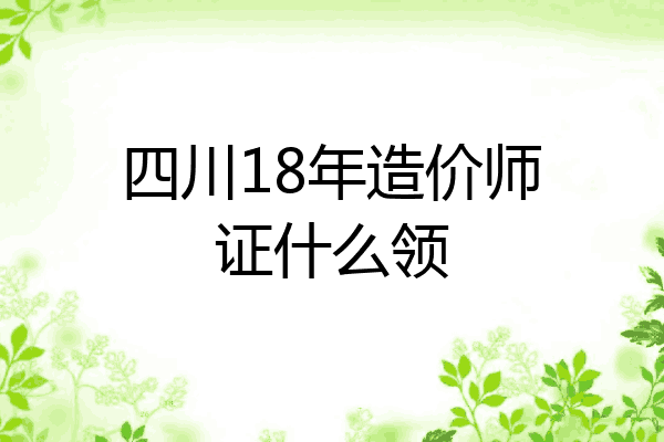 四川18年造价师证什么领