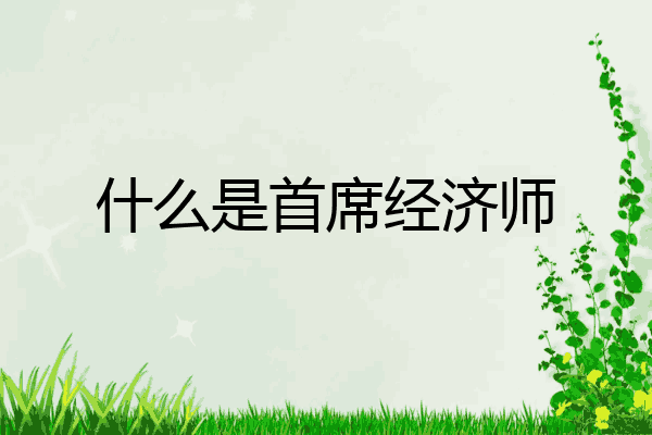 什么是首席经济师