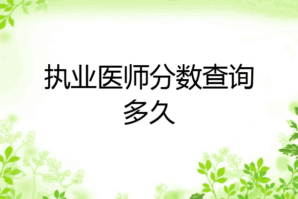 执业医师分数查询多久