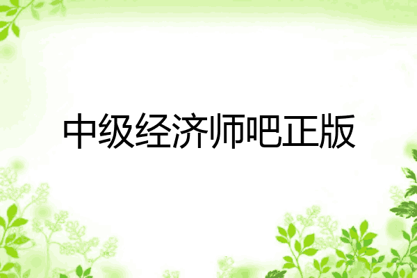 中级经济师吧正版