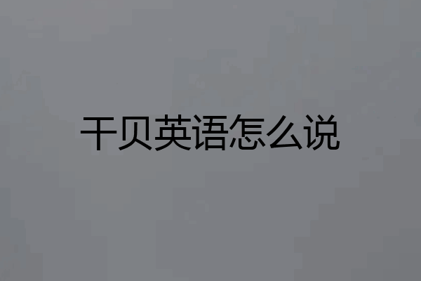 干贝英语怎么说
