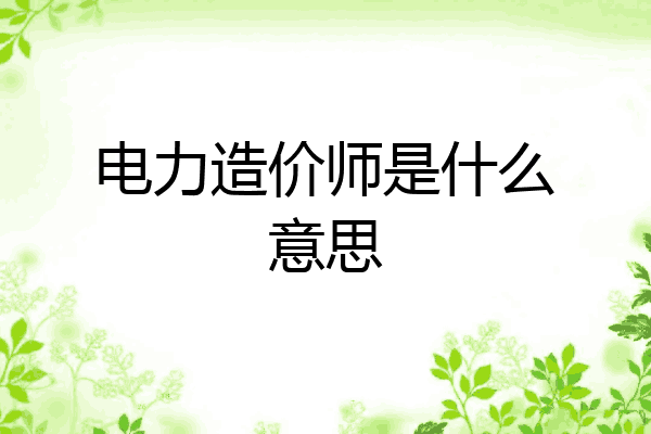 电力造价师是什么意思