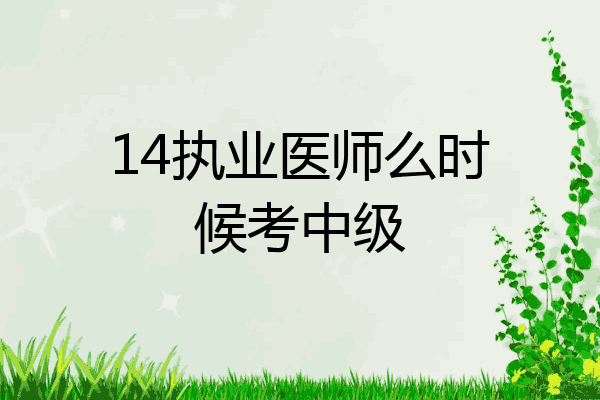 14执业医师么时候考中级