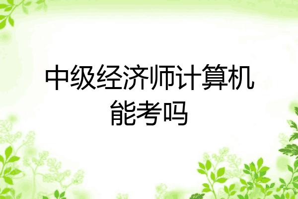 中级经济师计算机能考吗