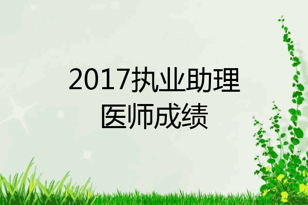 2017执业助理医师成绩