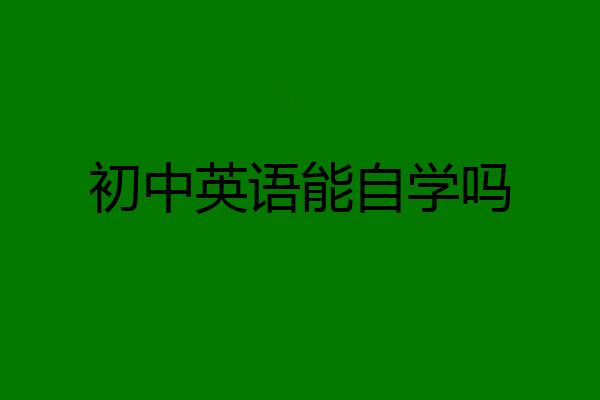 初中英语能自学吗
