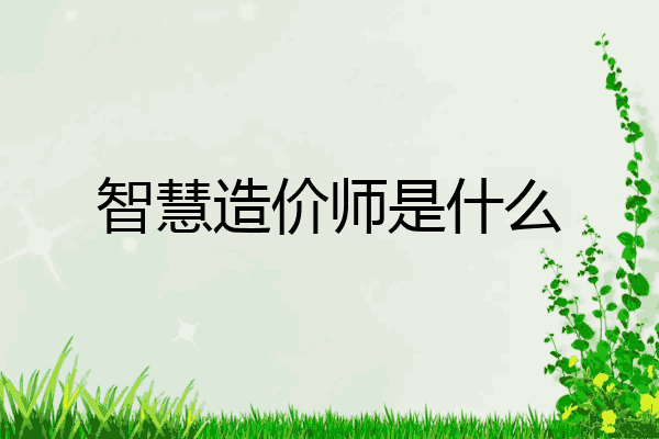 智慧造价师是什么