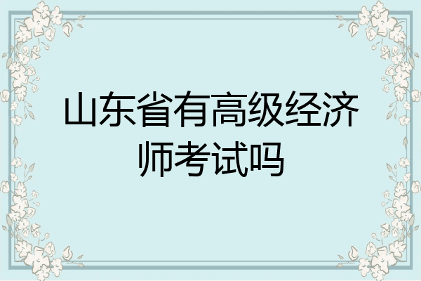 山东省有高级经济师考试吗