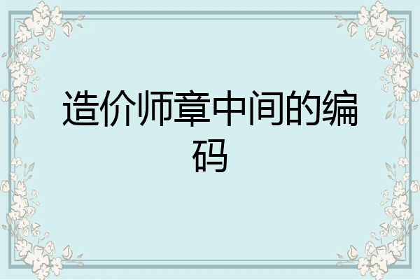 造价师章中间的编码