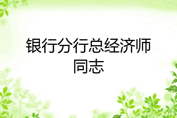 银行分行总经济师同志