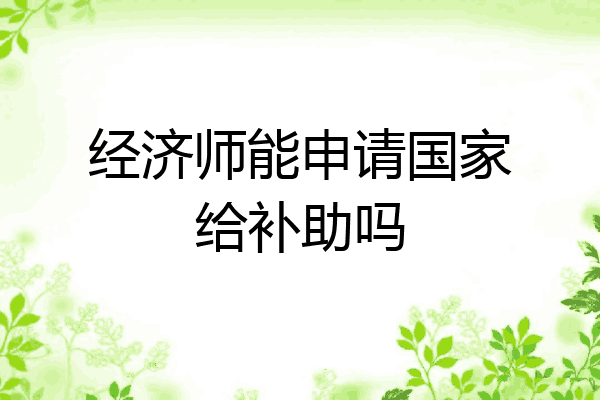 经济师能申请国家给补助吗