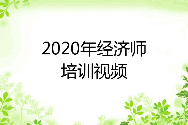 2020年经济师培训视频