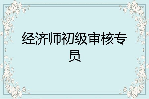 经济师初级审核专员