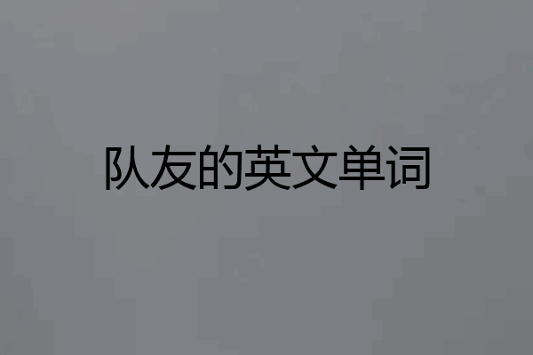 队友的英文单词