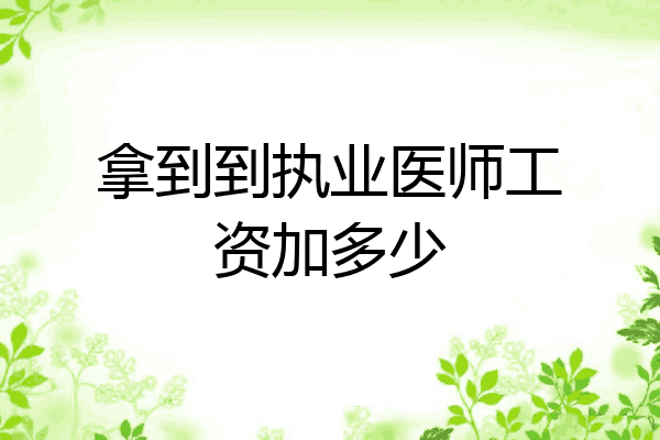 拿到到执业医师工资加多少
