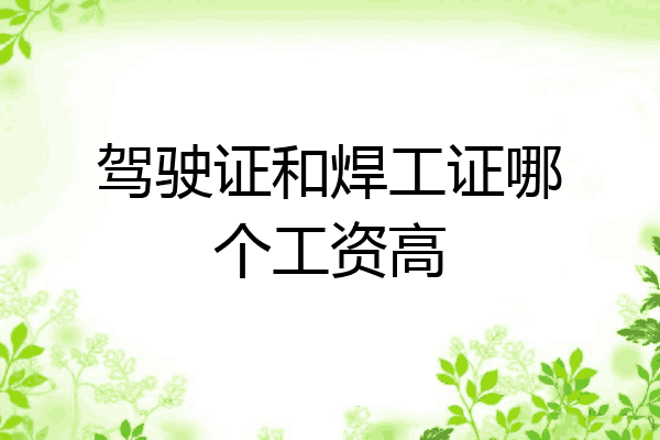 驾驶证和焊工证哪个工资高
