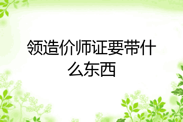 领造价师证要带什么东西