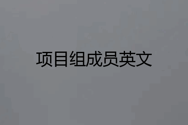 项目组成员英文