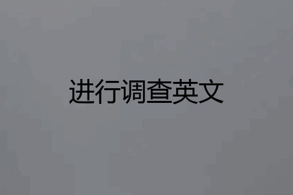 进行调查英文