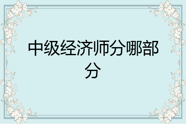 中级经济师分哪部分