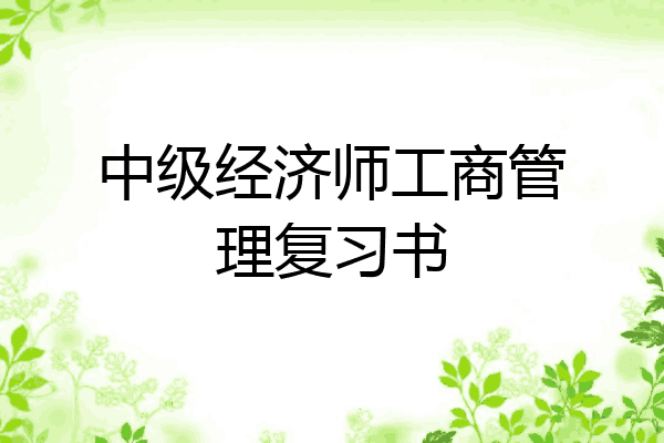 中级经济师工商管理复习书