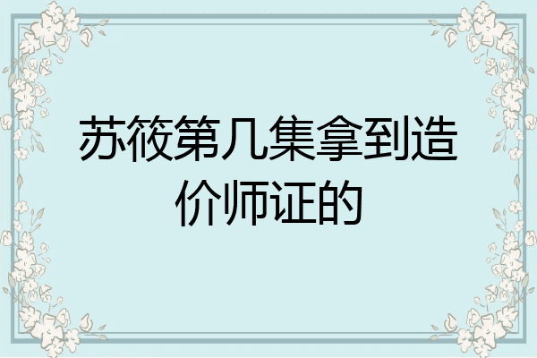 苏筱第几集拿到造价师证的