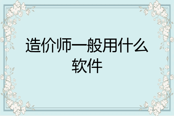 造价师一般用什么软件