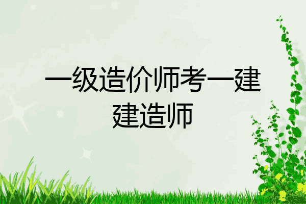 一级造价师考一建建造师